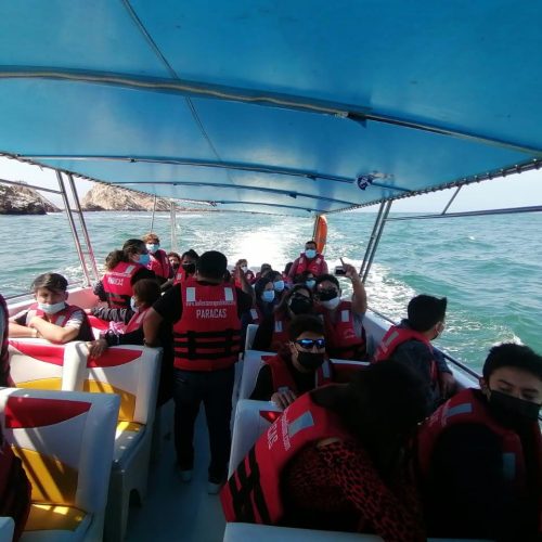 IMG-20211116-WA0012 (1)