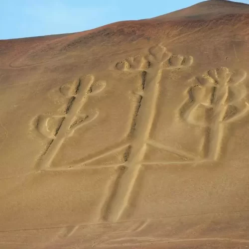 WhatsApp Image 2018-11-20 at 22.12.47 (1)