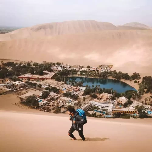 WhatsApp Image 2018-12-13 at 21.08.04 (1)