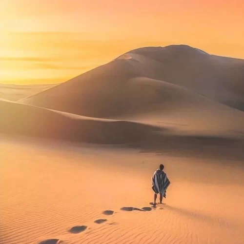 WhatsApp Image 2018-12-15 at 16.13.50 (1)